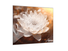 Glasdekor Obraz na skle detail bílý květ leknínu - Rozměry-čtverec: 60 x 60 cm