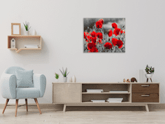 Glasdekor Obraz skleněný čtvercový červené květy vlčího máku na šedém - Rozměry-čtverec: 60 x 60 cm
