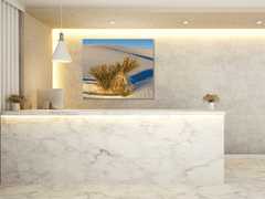 Glasdekor Obraz skleněný rostlina na bílé písečné duně - Rozměry-čtverec: 40 x 40 cm