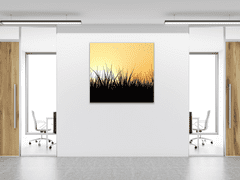 Glasdekor Obraz skleněný tráva v západu slunce - Rozměry-čtverec: 60 x 60 cm