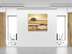 Glasdekor Obraz skleněný zebry na Safari - Rozměry-čtverec: 40 x 40 cm