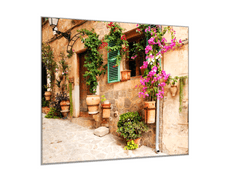 Glasdekor Skleněný obraz čtvercový květiny na zdi domu - Rozměry-čtverec: 80 x 80 cm