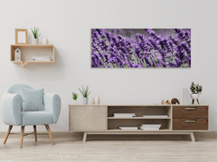 Glasdekor Obraz skleněný květy fialové levandule - Rozměry-obdélník: 50 x 100 cm