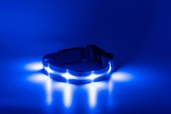 limaya Limaya led svítící obojek pro psy Blue - white thin strip S (28 cm -40 cm)