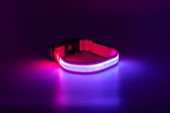 limaya Limaya led svítící obojek pro psy Pink - white strip S (28 cm - 40 cm)