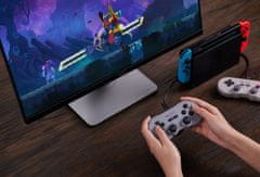 8BitDo SN30 Pro Gray Pad USB PC RaspberryPi Switch