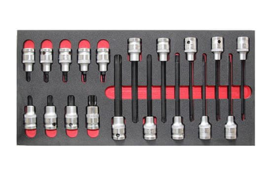 TRIUMF modul - zástrčné hlavice 1/2", Torx, 19 dílů, velikost 1/3