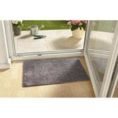 Hanse Home Rohožka Clean & Go 102502 45x67 cm