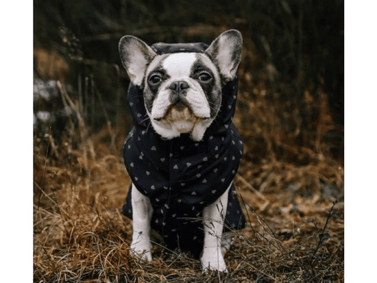 Maximin Zateplená softshellová bunda pro psa, nepromokavá - vzor "reflexní srdíčka", velikost M