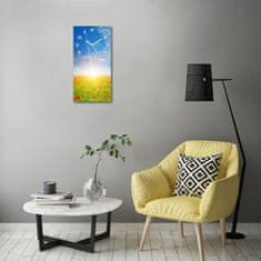 Wallmuralia Moderní hodiny nástěnné Pole máků bílé 30x60 cm