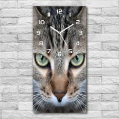 Wallmuralia Moderní hodiny nástěnné Oči kočky bílé 30x60 cm