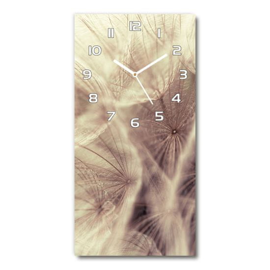 Wallmuralia Moderní hodiny nástěnné Pampeliška bílé 30x60 cm