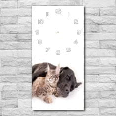 Wallmuralia Moderní hodiny nástěnné Pes a kočka bílé 30x60 cm