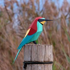 Plego Figurka exotického ptáka MEROPS APIASTER - tvořící sada