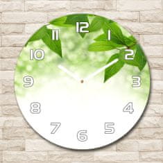 Wallmuralia Skleněné hodiny kulaté Zelená listí bílé fi 30 cm
