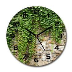 Wallmuralia Skleněné hodiny kulaté Zelený břečťan černé fi 30 cm
