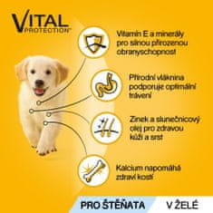 Pedigree kapsička pro štěňata masový výběr s rýží v želé 48x100 g