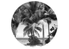 AG Design Kokosové palmy, fototapeta ekologická vliesová do obývacího pokoje, ložnice, jídelny, kuchyně, 70x70