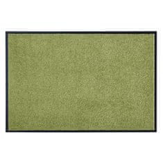 Hanse Home Rohožka Wash & Clean 101470 Green 120x180 cm