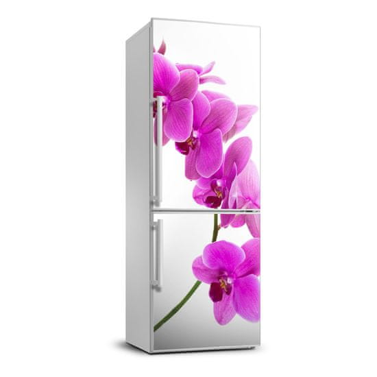 Wallmuralia Nálepka fototapeta Růžová orchidej