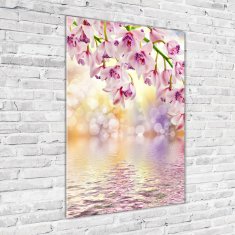 Wallmuralia Vertikální Foto-obrah sklo tvrzené Orchidej 70x100 cm 2 úchytky