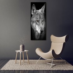 Wallmuralia Vertikální Foto-obrah sklo tvrzené Portrét vlka 70x140 cm 4 úchytky