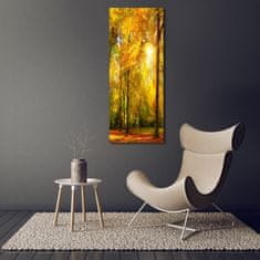 Wallmuralia Vertikální Foto obraz sklo tvrzené Les na podzim 50x125 cm 4 úchytky