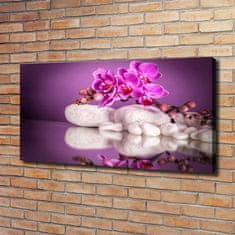 Wallmuralia Foto obraz canvas Růžová orchidej 120x60 cm