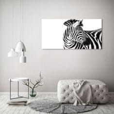 Wallmuralia Foto obraz canvas Zebra ve sněhu 120x60 cm