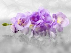 AG Design Něžná orchidej, fototapeta , 360x270 cm