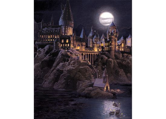 AG Design HARRY POTTER , fototapeta do dětského pokoje, lepidlo součástí balení, 225x270