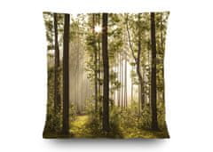 AG Design Kouzelný les, dekorativní polštář , 45 x 45 cm, CN 3611