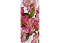 AG Design Květy jabloně, vliesová fototapeta 90x202 cm