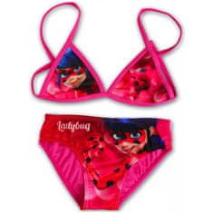 SETINO Dívčí dvoudílné plavky Kouzelná beruška - růžové EU 104