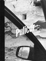 Jaroslav Pulicar: Pulicar