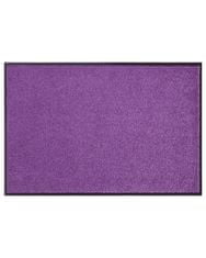 Hanse Home Rohožka Wash & Clean 103838 Violett 40x60