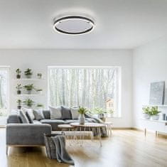 PAUL NEUHAUS LEUCHTEN DIREKT is JUST LIGHT LED stropní svítidlo antracit, kruhové pr.40cm, stmívatelné, Switchmo, teplá bílá krokově stmívatelné 3000K