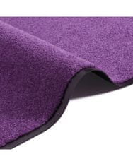 Hanse Home Rohožka Wash & Clean 103838 Violett - na ven i na doma 40x60