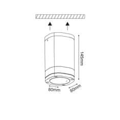 ACA ACA Lighting Garden stropní venkovní svítidlo LG2883G