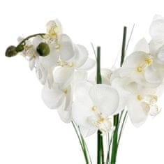 Atmosphera Umělá orchidej v černém květináči, bílá orchidej, výš. 53 cm