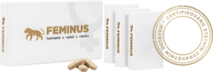 Primulus Feminus Doplněk stravy 60 tablet