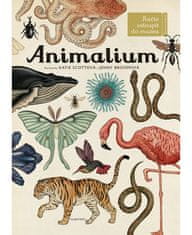 Albatros Animalium