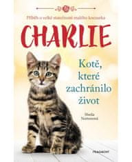 Fragment Charlie - kotě, které zachránilo život
