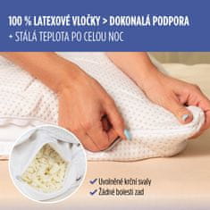 Vitapur Klasický polštář SleepForm s latexovými vločkami - 50x70 cm