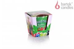 Bartek Svíčka ve skle TUTTI FRUTTI - berries fresh smoothie 115g