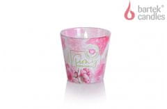 Bartek Parfemovaná svíčka ve skle Peony - royal pink 115g
