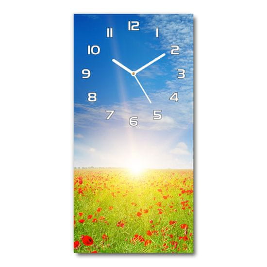 Wallmuralia Moderní hodiny nástěnné Pole máků 30x60 cm bílé