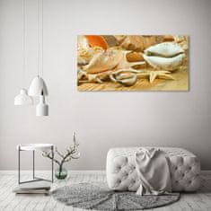 Wallmuralia Foto obraz sklo tvrzené Mušle na stromě 125x50 cm 2 úchytky