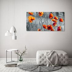 Wallmuralia Fotoobraz na skle Polní mák 125x50 cm 2 úchytky