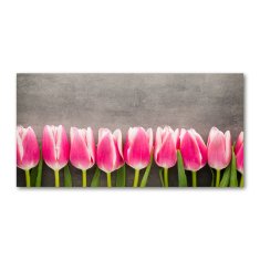 Wallmuralia Foto obraz sklo tvrzené Růžové tulipány 140x70 cm 2 úchytky